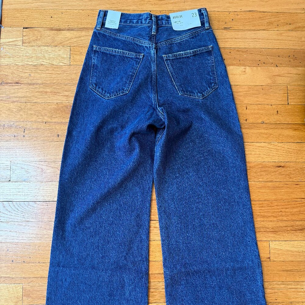Agolde Dame Jeans High Rise Wide Leg (23) Enamour